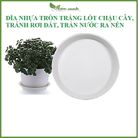 ( nhiều cỡ) Đĩa lót chậu cây, chậu hoa tròn trắng các loại, chống chảy bẩn ra sàn
